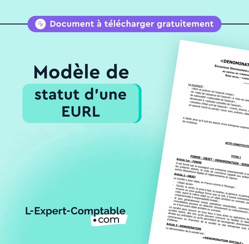 Expert-Comptable en ligne modele-statut-eurl