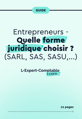 Expert-Comptable en ligne Entrepreneurs - Quelle forme juridique choisir ?