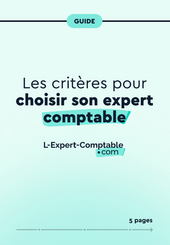 Expert-Comptable en ligne Les critères pour choisir son expert-comptable