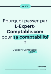 Expert-Comptable en ligne Pourquoi passer par L-Expert-Comptable.com pour sa comptabilité ?