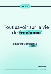 Expert-Comptable en ligne Tout savoir sur la vie de freelance