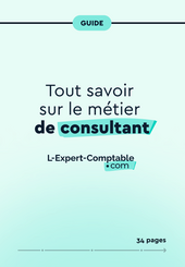 Expert-Comptable en ligne Tout savoir sur le métier de consultant