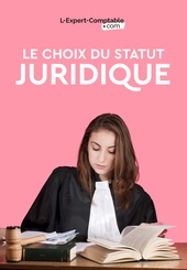 Expert-Comptable en ligne choisir-statuts