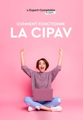 Expert-Comptable en ligne fonctionnement-cipav