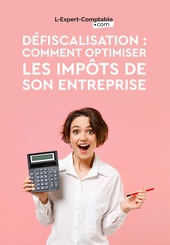Expert-Comptable en ligne defiscalisation