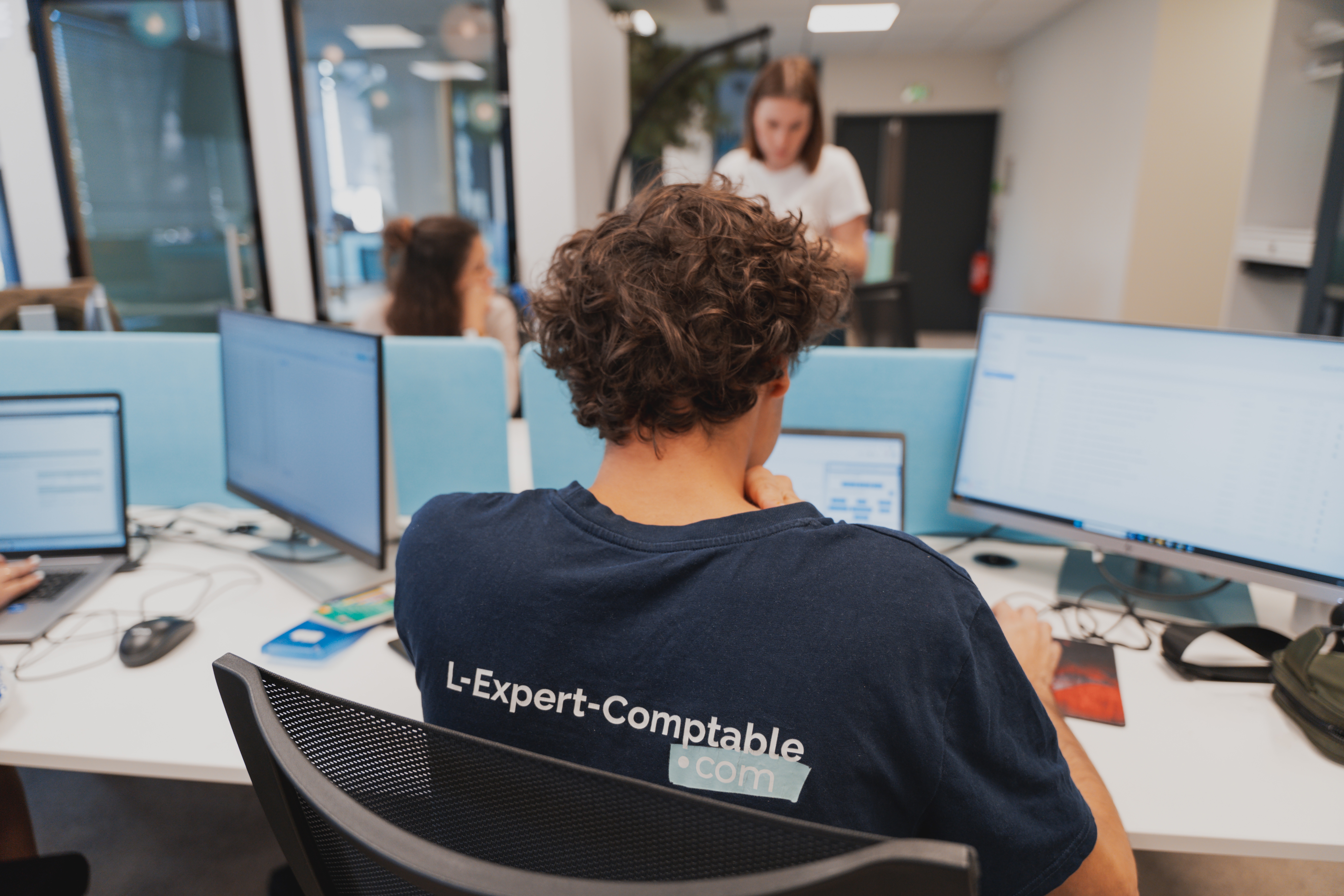 Expert-Comptable en ligne lec-marque
